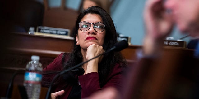 Rep. Rashida Tlaib went after the Supreme Court on Friday, claiming that a union’s "right to strike" is being targeted by the Supreme Court.