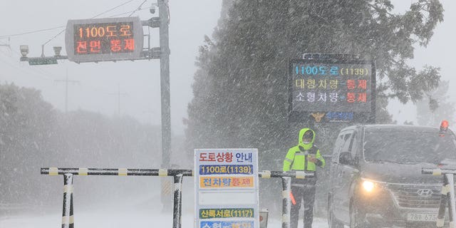 A police officer controls vehicle traffic amid heavy snowfall on Jeju Island, South Korea, on Jan. 24, 2023. 