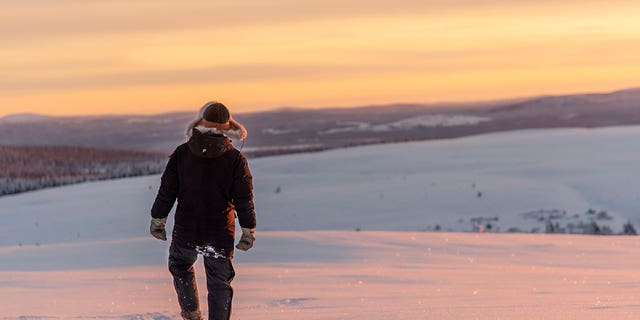 A deposit estimated to have over a million tons of rare earth materials was discovered near Kiruna, Sweden. Reindeer herder Niila Inga walks across the snow as the sun sets near Kiruna, Sweden, on Nov. 27, 2019.