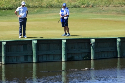 At strongKiawah Island's Ocean Course/strong, alligators are as welcome as golfers. The South Carolina resort encourages a peaceful co-existence between players and the reptiles, who form part of a vibrant eco-system that includes dolphins and bobcats.