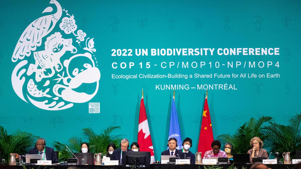 COP15 UN Biodiversity Conference