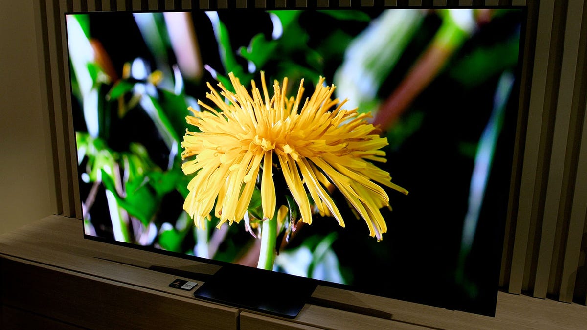 Samsung OLED TV with dandelion on the screen