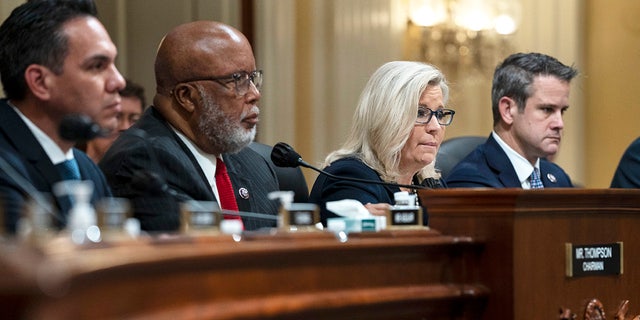 A partial view of the House committee investigating the Jan. 6, 2021 attack on the U.S. Capitol. From left to right: Reps. Pete Aguilar, D-Calif., Chair Bennie Thompson, D-Miss., Liz Cheney, R-Wy., and Adam Kinzinger, R-Ill.