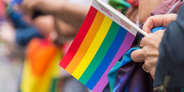 A Gay Pride Parade spectator holding small gay rainbow flag during Pride Parade in 2017.