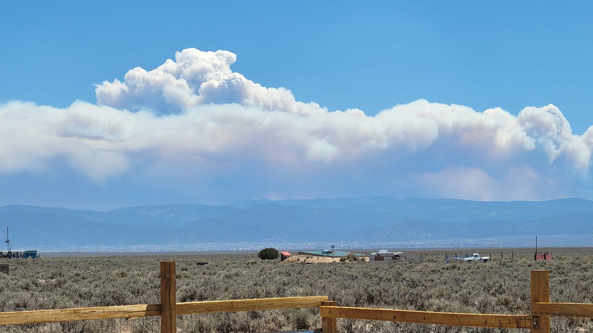 A desert landscape of scrub brush, with mountains and soaring clouds on the horizon