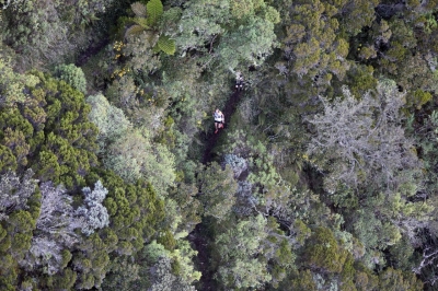 strongLa Reunion island: /strongMore dense forest awaits runners (such as this competitor in 2019) in the Grand Raid de la Reunion ultramarathon race, on the island of La Reunion in the Indian Ocean.