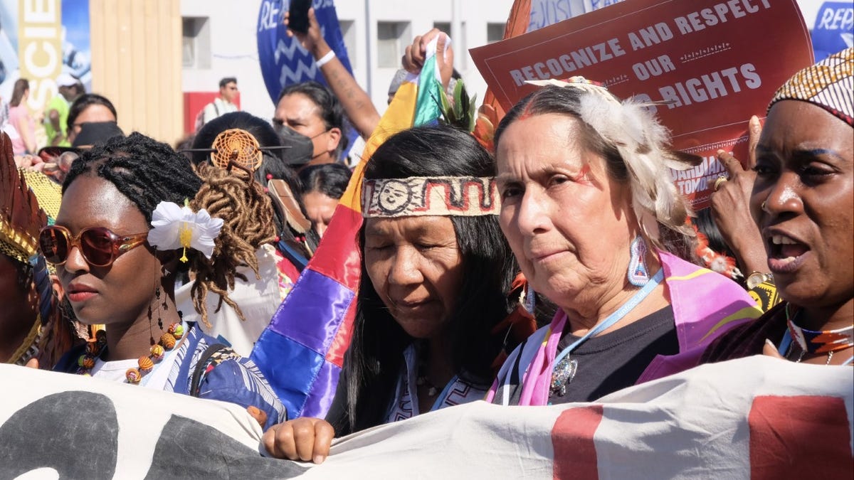 Indigenous women protesting at COP27