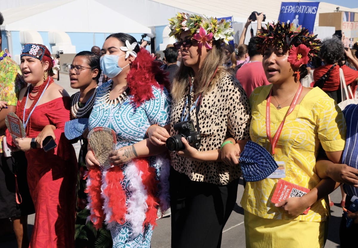 Indigenous women protesting at COP27