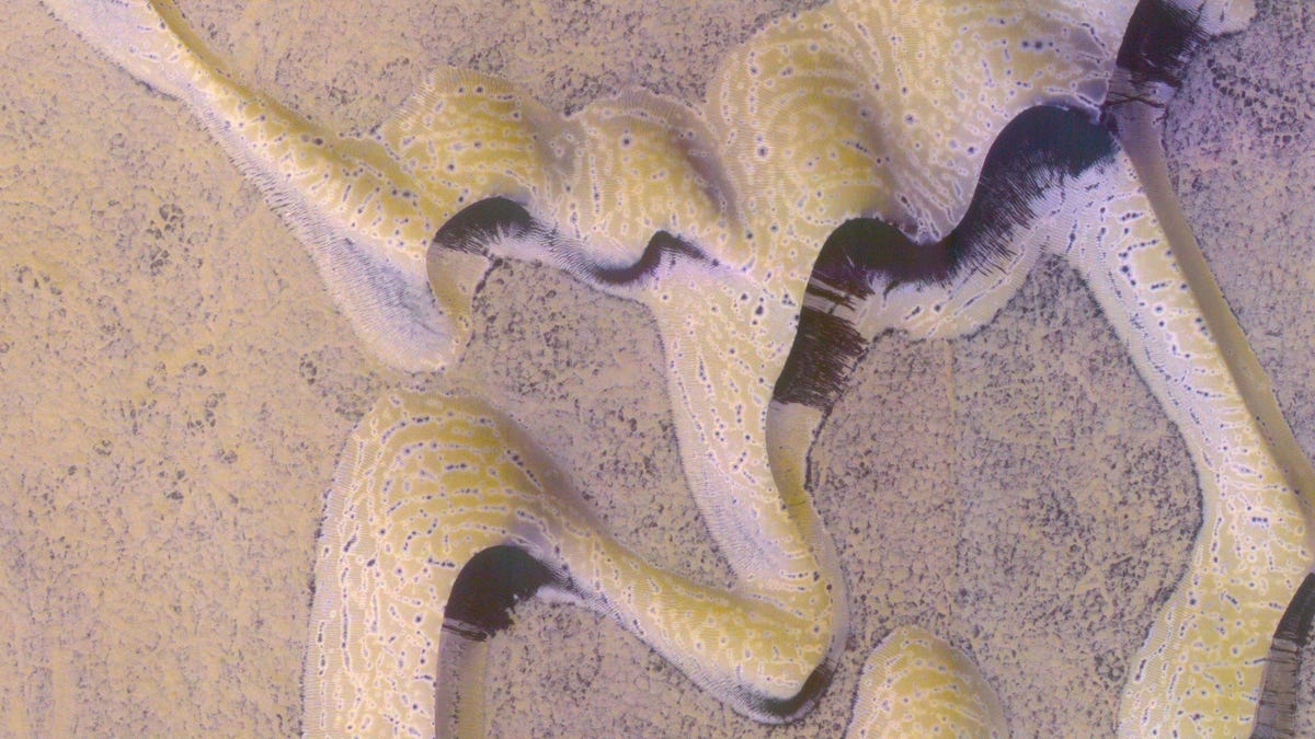 Sinuous beige dunes with shadowed sides look like ribbons of frosting across the Mars terrain.