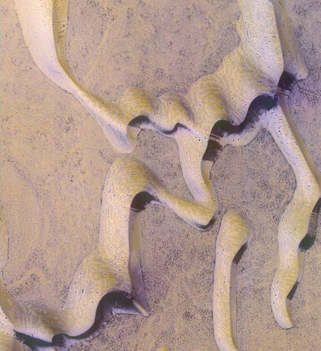 Sinuous beige dunes with shadowed sides look like ribbons of frosting across the Mars terrain.