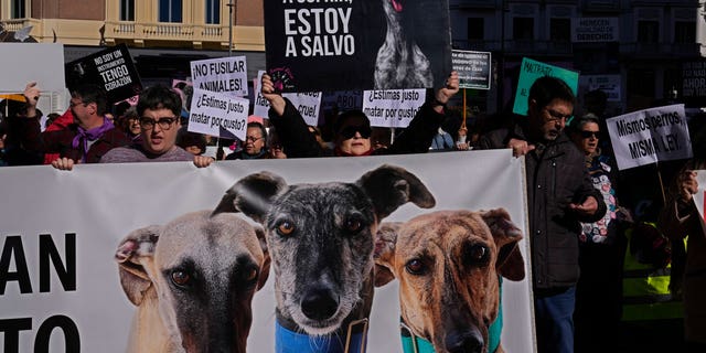 People protest against the exclusion of some animals in the new animal protection law, Madrid, Spain, on Feb. 5, 2023.