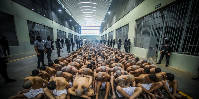 Gang members wait to be taken to their cells after being transferred to the Terrorism Confinement Center, according to El Salvador's President Nayib Bukele, in Tecoluca, El Salvador, in this handout distributed to Reuters on February 24, 2023. 