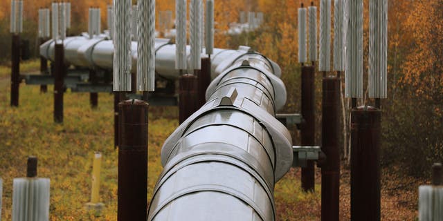 A part of the Trans Alaska Pipeline System is seen on September 17, 2019 in Fairbanks, Alaska. (Joe Raedle/Getty Images)