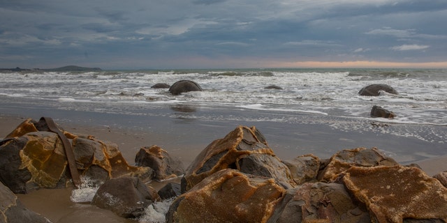 Moeraki Boulders are seen at Koekohe Beach in Moeraki, New Zealand, on November 21, 2020. According to scientists, the Moeraki Boulders formation began about 60 million years ago.  