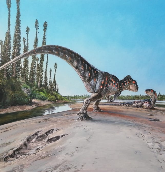 Illustration of a two-legged, small-armed carnivorous theropod dinosaur walking across a sandy surface with another dino laying down on the ground in front of it. There are tall trees and a stream of water nearby.