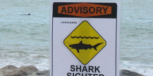 FILE- A shark warning sign. Police are unsure exactly how the man ended up inside the shark.