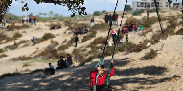A Palestinian boy sits on a swing hanging from a tree trunk in Rafah city in southern Gaza Strip, February 3, 2023. (Reuters/Ibraheem Abu Mustafa)