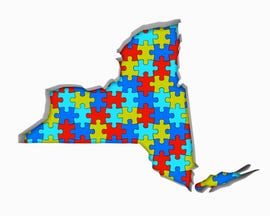 A map of New York State divided into jigsaw puzzle pieces