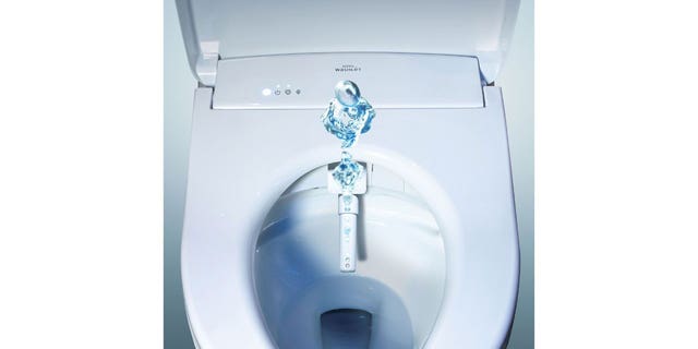 The TOTO S550e Washlet bidet seat has a variety of functions.