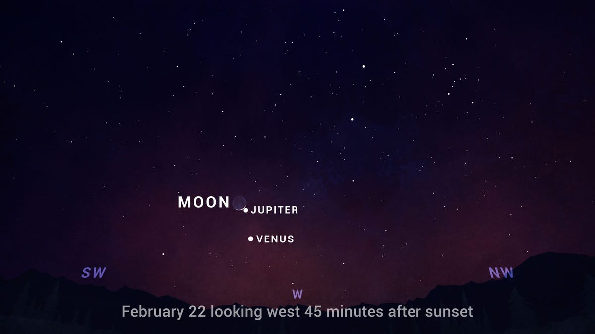 Illustrated sky chart showing the western sky in shades of blush and purple peppered with stars on Feb. 22, 2023. The moon is shown with Jupiter just below it and Venus as a bright dot below that.