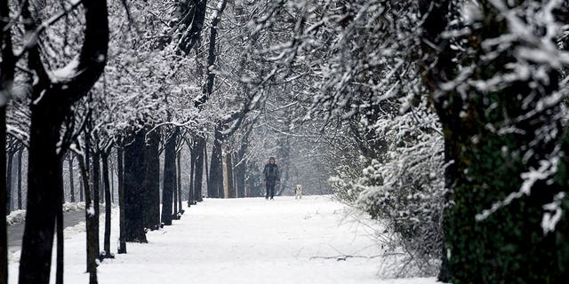 A woman with a dog walks through a snow-covered street in Belgrade, Serbia, on Feb. 26, 2023, after the country and the rest of the region were hit by a sudden weather change that brought rain and snow.