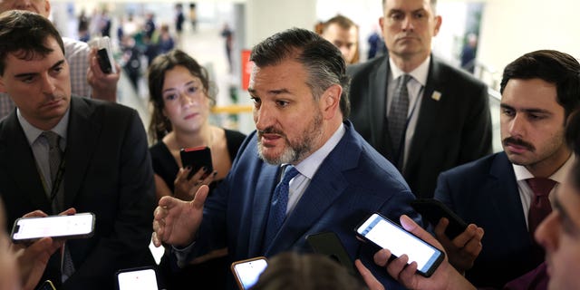 Sen. Ted Cruz, R-Texas, speaks to reporters on Dec. 6 on Capitol Hill.