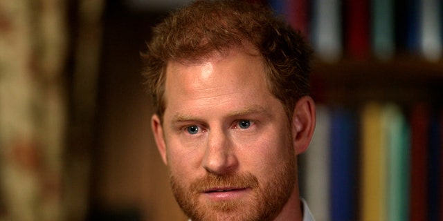 Prince Harry talked about seeing Princess Diana's crash photos and his stepmother's status in a "60 Minutes" interview with Anderson Cooper.