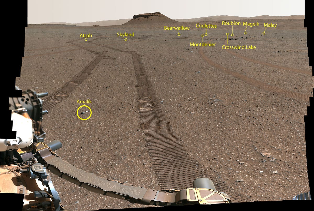 A vast landscape shows 10 very small, titanium sample tubes carefully placed along the surface of Mars by the Perseverance rover. The color of the landscape is a brownish-red and rover tracks mark up parts of the surface. The rover's robotic arm is shown along the bottom-left part of the image. Far off into the distant horizon, a rocky hill can be seen. Each of 10 samples tubes is circled and named in yellow.
