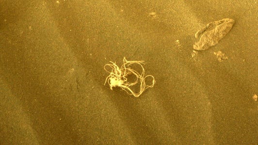 A tangled, string-like object sits on the sandy brown Martian ground with a rock nearby.