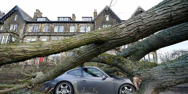 A Porsche is damaged by a fallen tree in Harrogate, North Yorkshire, on Feb. 17, 2023, as a result of storm Otto. The storm led to dozens of cancelations of train and ferry connections in Denmark and Norway.