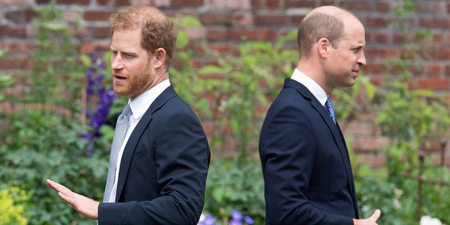 In his memoir, Prince Harry, left, alleged that Prince William, right, called Meghan Markle "difficult" and "rude."