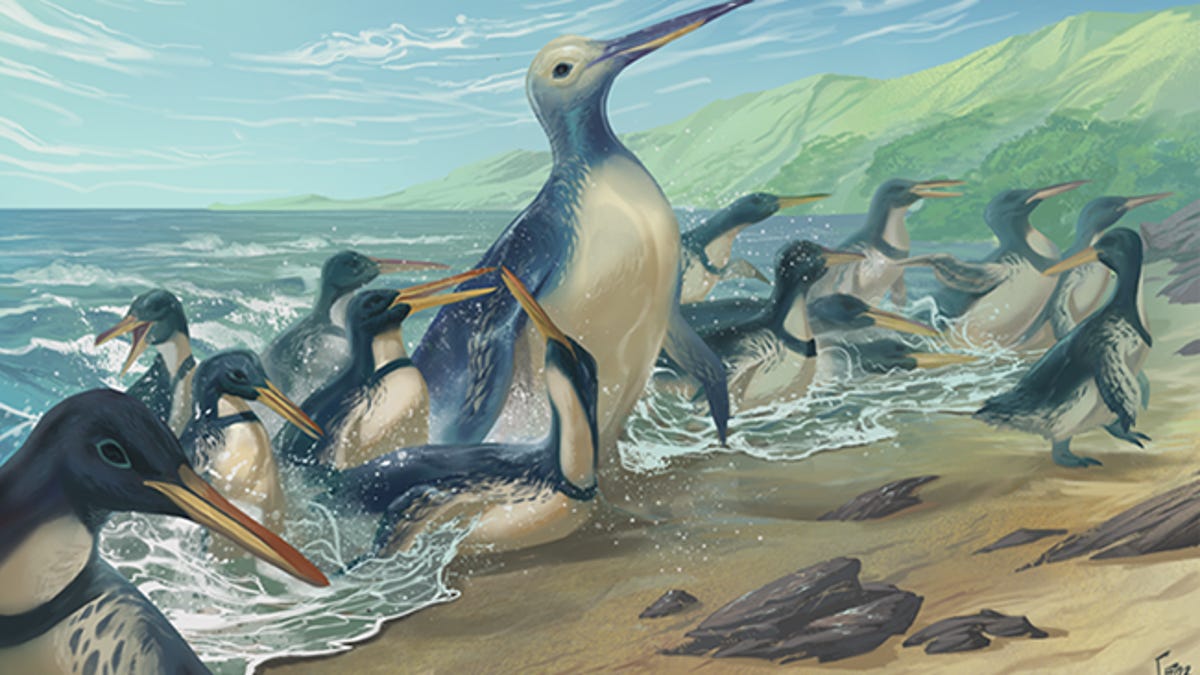A painting of penguins coming onshore from the ocean. One penguin in the middle is huge, while the others are relatively smaller.