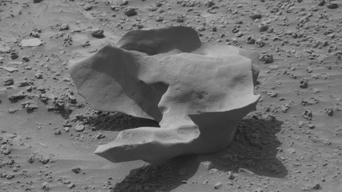 Black and white mast camera image from Curiosity Mars rover shows a funky shaped smooth-topped rock shaped like a plucked chicken with legs extending backward.