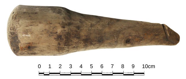 Carved wood phallus from ancient Roman Britain with a larger, smooth end on one side with a centimeter scale for length.