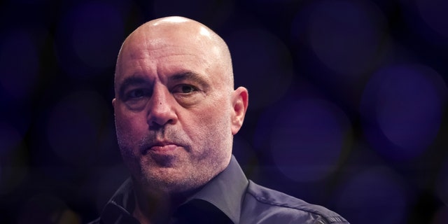 JACKSONVILLE, FLORIDA - APRIL 09: Joe Rogan looks on during the UFC 273 event at VyStar Veterans Memorial Arena on April 9, 2022, in Jacksonville, Florida. 