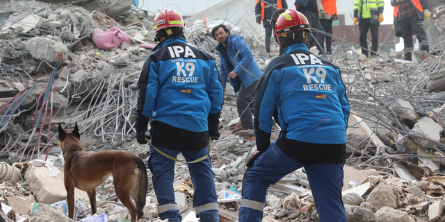 Search and rescue efforts continue with dogs on the firth day after the earthquake in Adiyaman, Turkey.