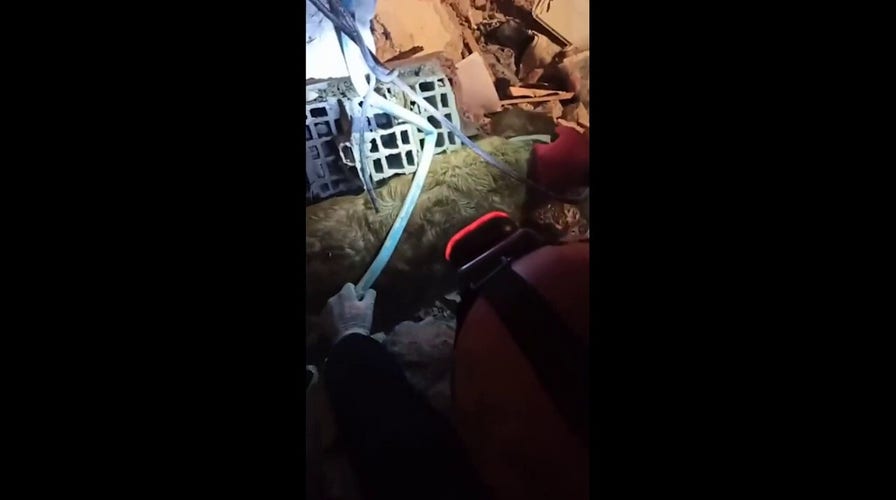 Dog pulled alive from rubble 5 days after Turkey earthquake