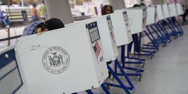 Pictured: Voters casting their ballots at a polling station during early voting in Brooklyn, New York City, U.S.
