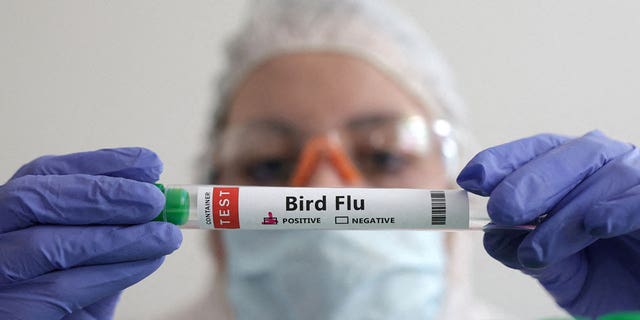 A person holds a test tube labeled "Bird Flu" on Jan 14, 2023. Argentina has detected its first case of bird flu in industrial poultry, prompting the country to halt its poultry exports.