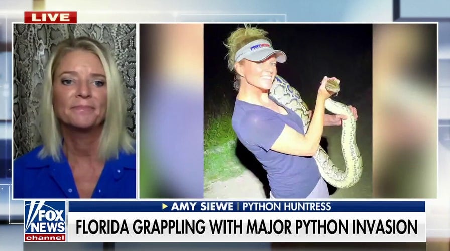 The 'Python Huntress’ shares how she is using her passion to help with Florida’s snake problem