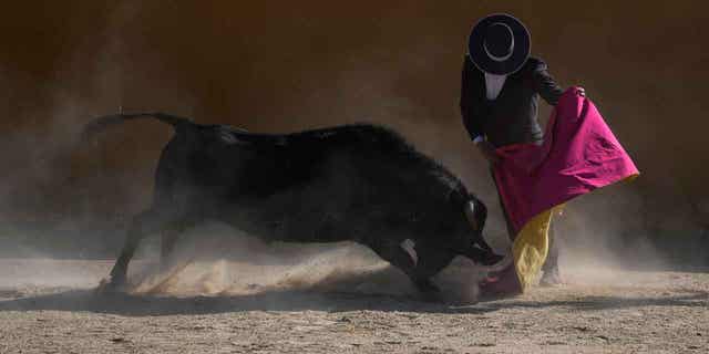 Bullfighter Sebastian Vargas performs a pass in Villa Pinzón, Colombia, on Feb. 25, 2023. Colombia is one of just eight countries where bullfights are still legal, but legislators are proposing a law to ban them.