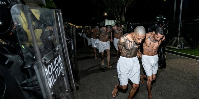 Gang members wait to be taken to their cell after 2000 gang members were transferred to the Terrorism Confinement Center, according to El Salvador's President Nayib Bukele, in Tecoluca, El Salvador, in this handout distributed to Reuters on March 15, 2023. 