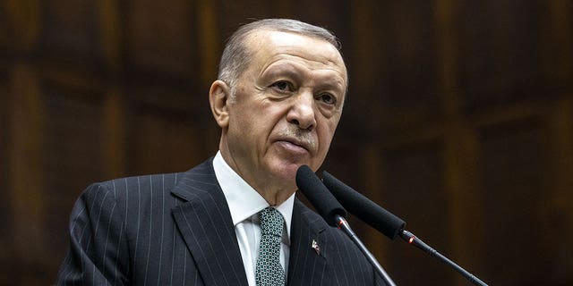 Turkish President Recep Tayyip Erdogan speaks during a meeting on March 01, 2023. Human rights lawyers are seeking a probe into allegations that Turkish authorities committed crimes against opponents of President Erdogan.