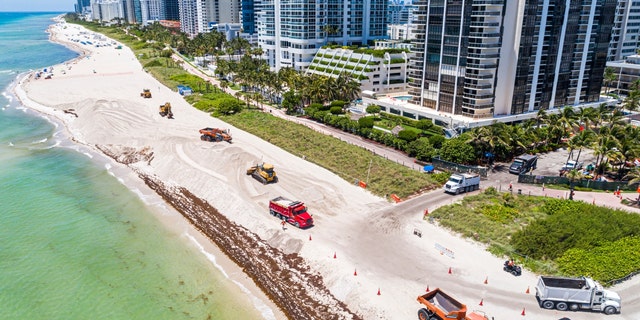 An aerial view of public beach restoration in Miami Beach, Florida, with sargassum, smelly seaweed that's been traversing the Atlantic Ocean in massive clumps. 
