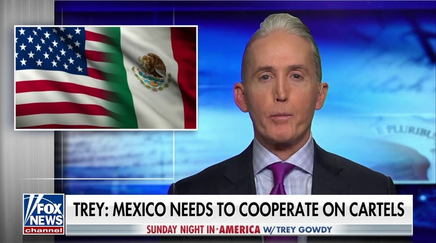 Trey Gowdy's message to Mexico on cartel cooperation: 'Do something about the cartels or we will'
