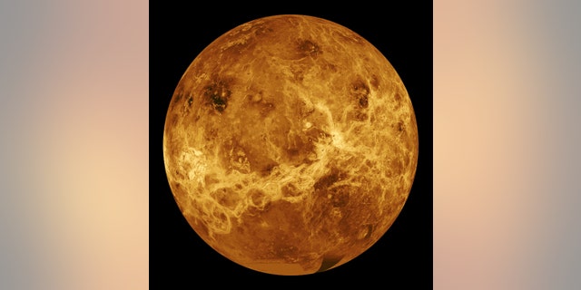 This global view of the surface of Venus was produced by the Solar System Visualization project and the Magellan science team at the Jet Propulsion Laboratory Multimission Image Processing Laboratory and is a single frame from a video released at the Oct. 29, 1991, JPL news conference.