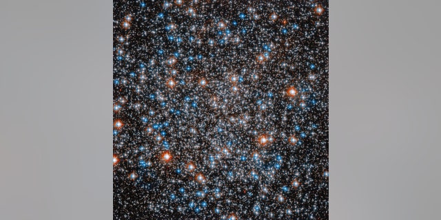 This image shows just a portion of M55, the cluster as a whole appears spherical because the stars’ intense gravitational attraction pulls them together. Hubble’s clear view above Earth’s atmosphere resolves individual stars in this cluster. Ground-based telescopes can also resolve individual stars in M55, but fewer stars are visible.