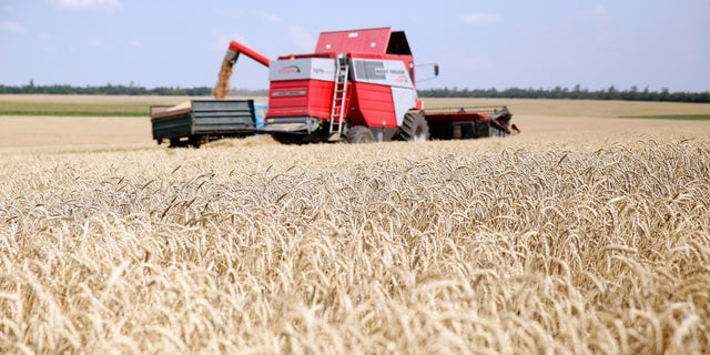 A combine harvester drives across a wheat field during a harvest for the ZAT Nibulon agricultural company in Nikolaev, Ukraine, on Monday, July 8, 2013. A deluge of Ukrainian grain exports has saturated the global market, leading to unrest among European farmers and promises of economic relief from nearby Poland.