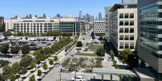 An aerial view of the University of the California San Francisco (UCSF) campus in Mission Bay, San Francisco, with the Salesforce Tower visible in the background May 17, 2022. 