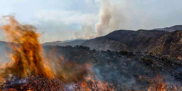 A wildfire burns near Altura, Spain, on Aug. 19, 2022. Spain has officially entered a period of a long-term drought and is likely faces another year of heatwaves and forest fires.